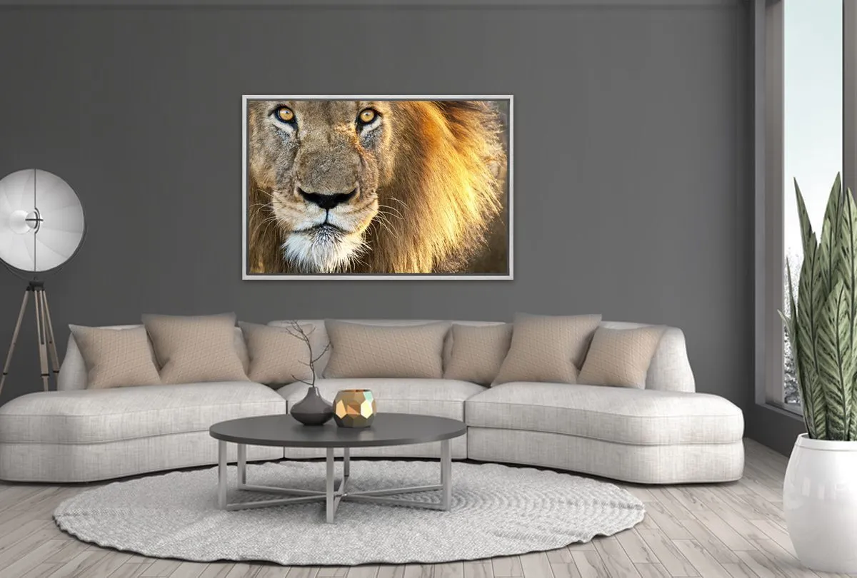 Lion | Canvas Wall Art Print