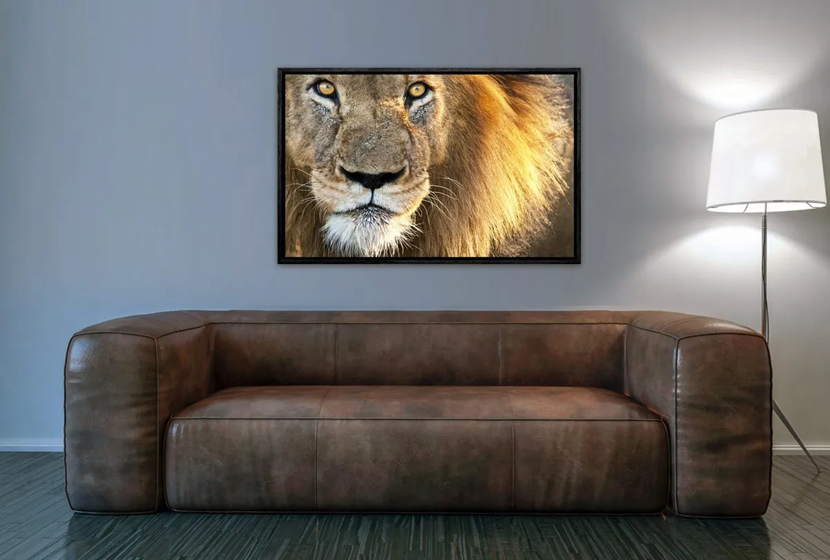 Lion | Canvas Wall Art Print