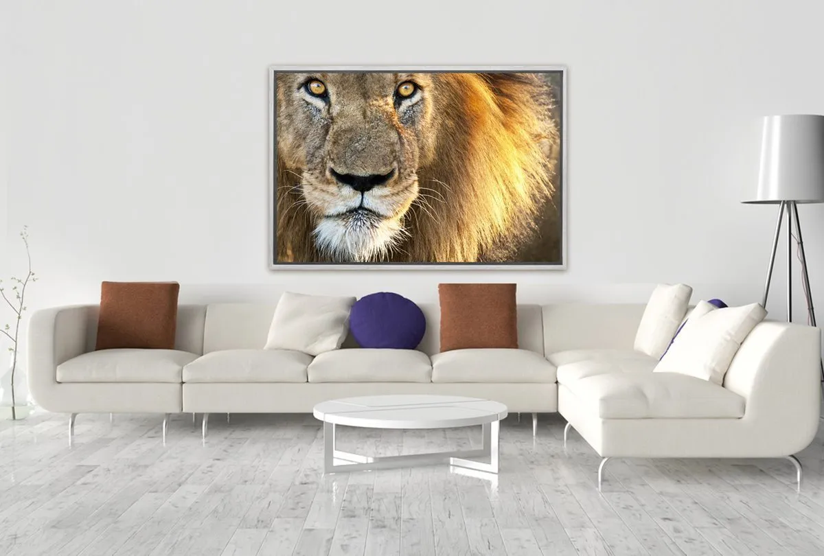 Lion | Canvas Wall Art Print