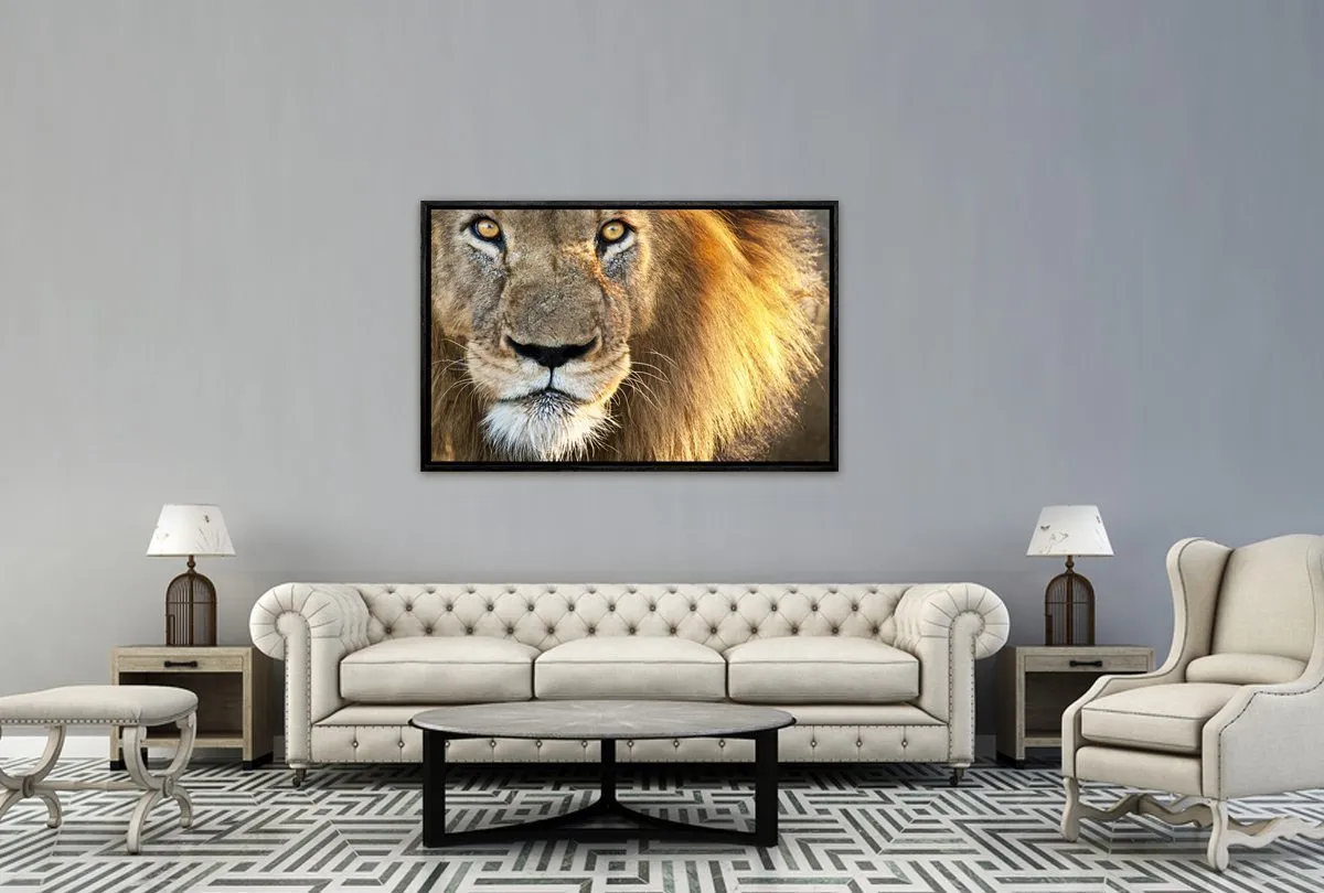 Lion | Canvas Wall Art Print