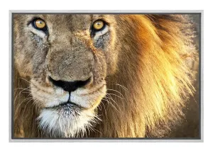 Lion | Canvas Wall Art Print