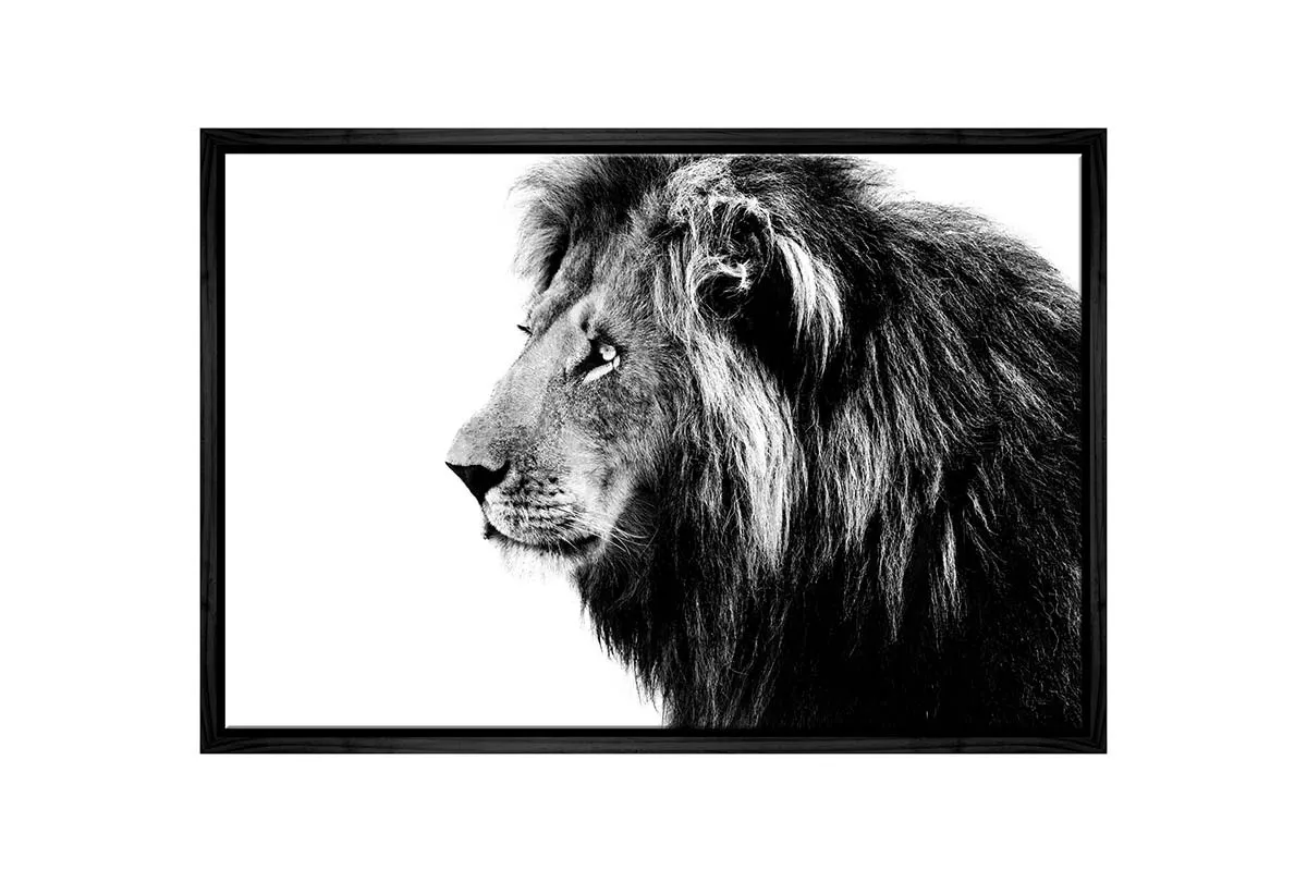 Lion Portrait | Canvas Wall Art Print