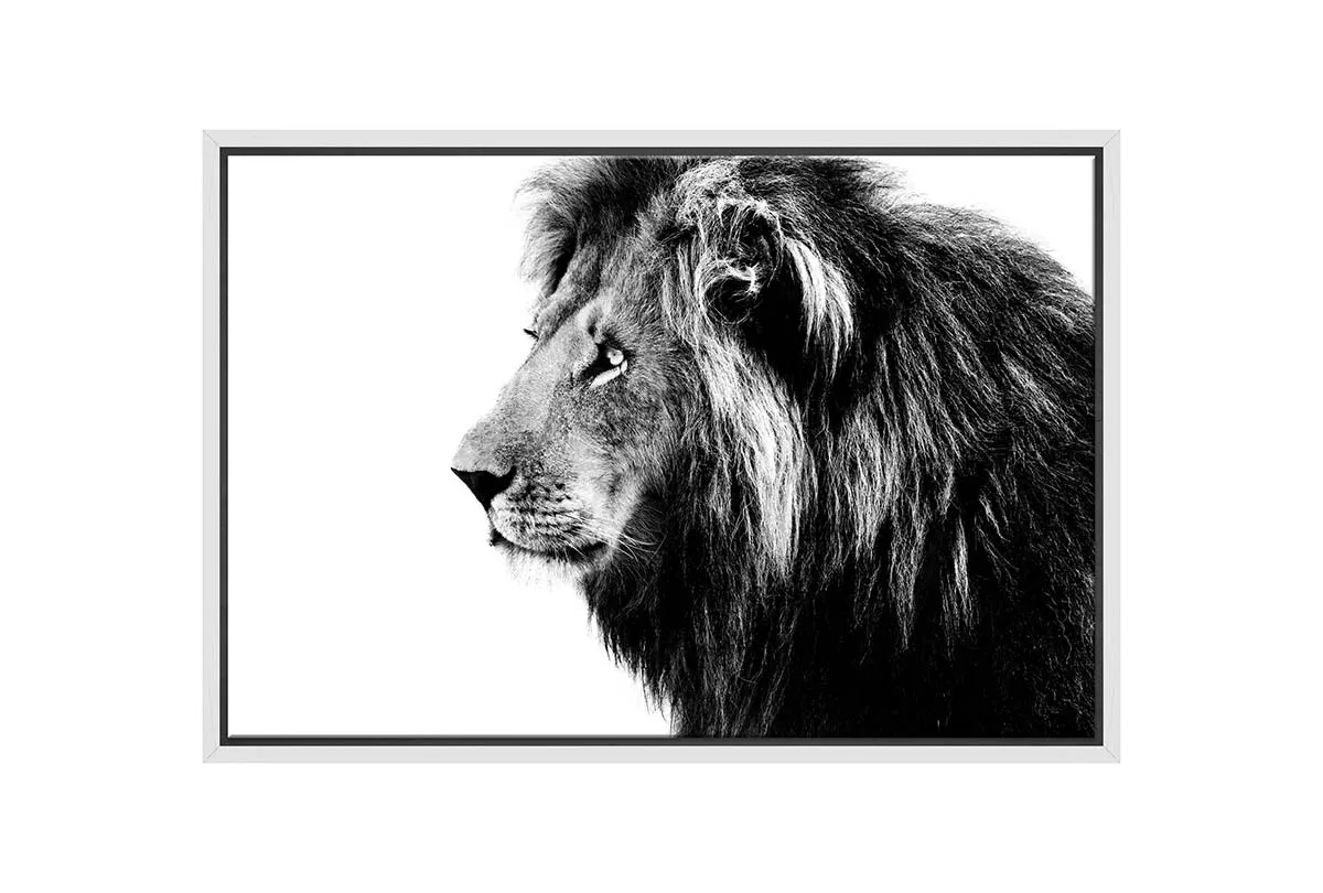 Lion Portrait | Canvas Wall Art Print