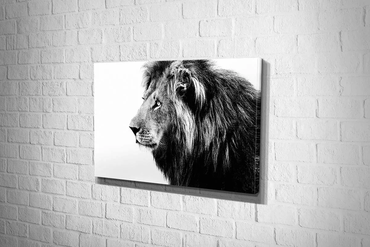 Lion Portrait | Canvas Wall Art Print