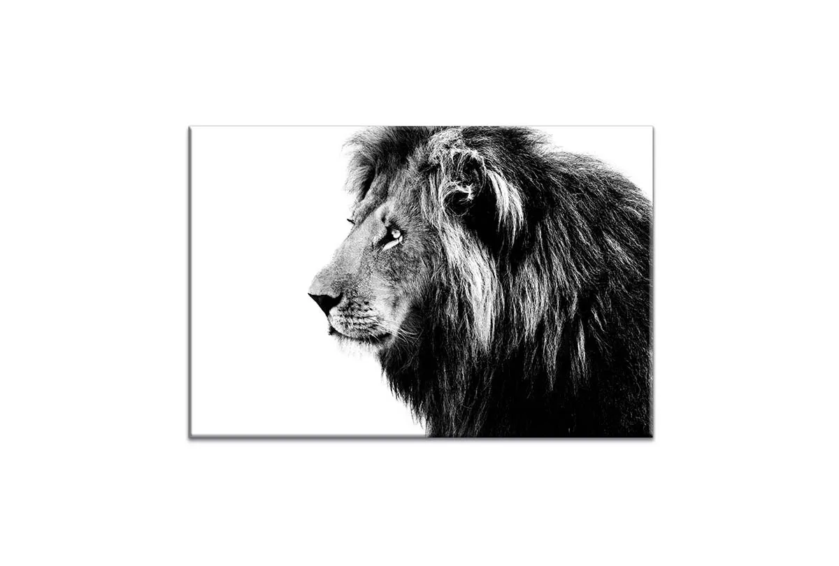 Lion Portrait | Canvas Wall Art Print