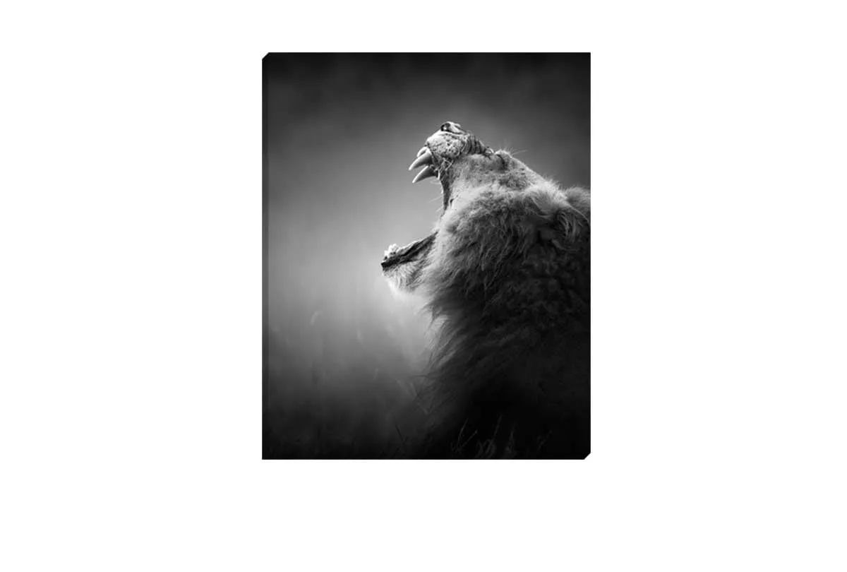 Lion Roar 2 | Canvas Art Print