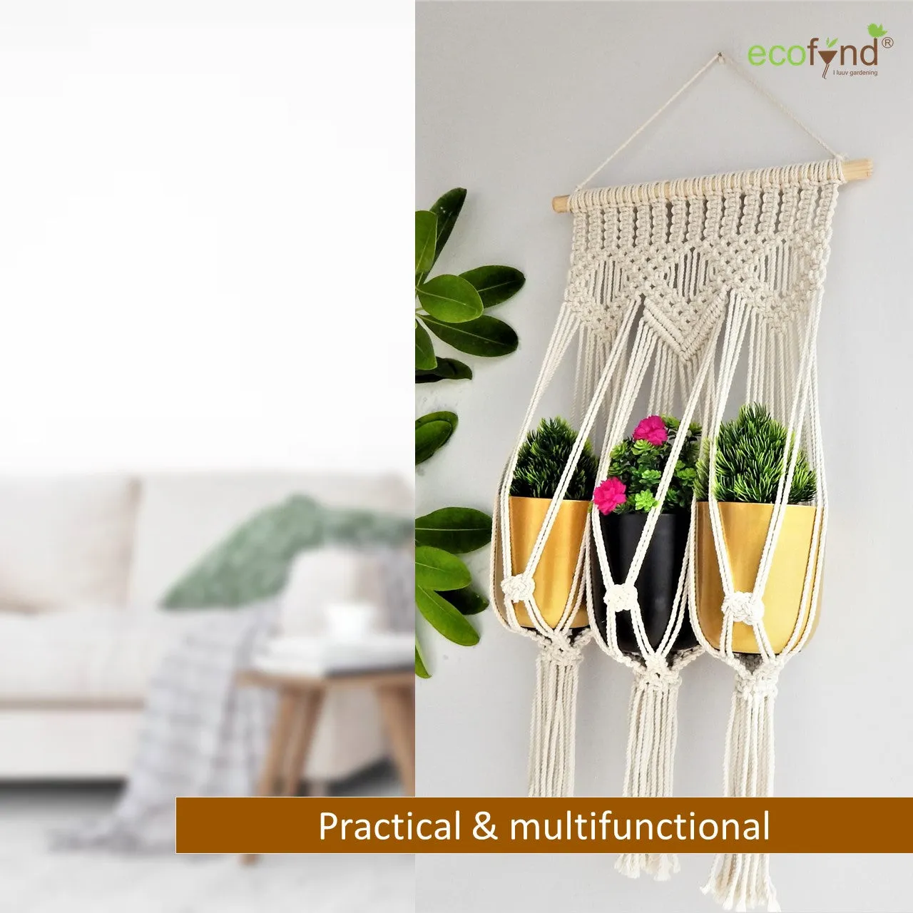 Macrame Cotton Plant Hanger