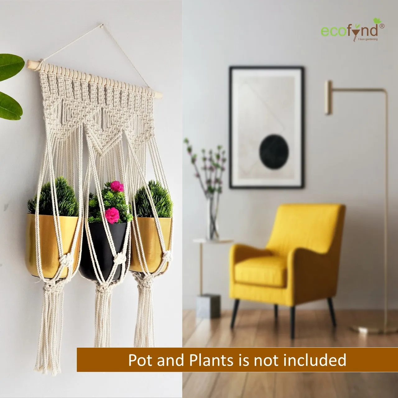 Macrame Cotton Plant Hanger