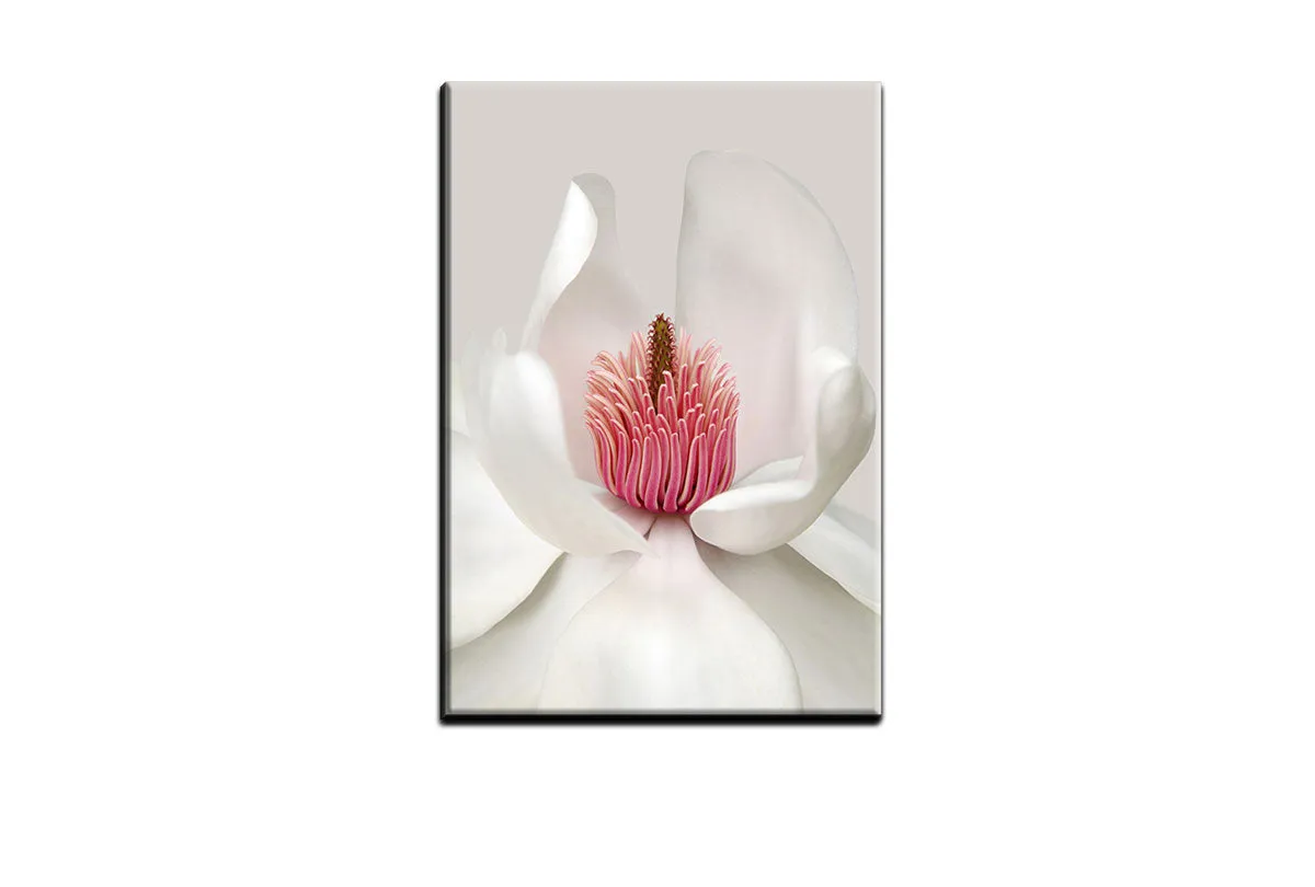 Magnolia Close-Up | Flower Wall Art Print