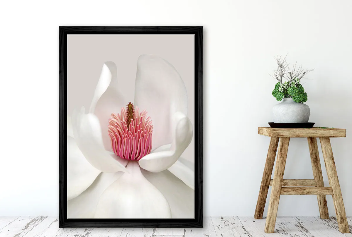 Magnolia Close-Up | Flower Wall Art Print