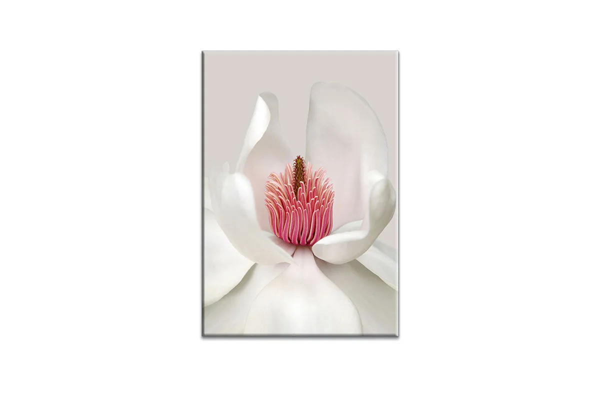 Magnolia Close-Up | Flower Wall Art Print