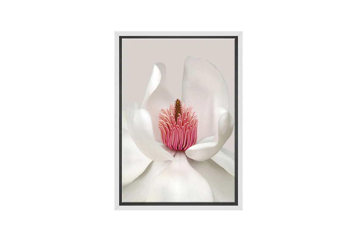 Magnolia Close-Up | Flower Wall Art Print