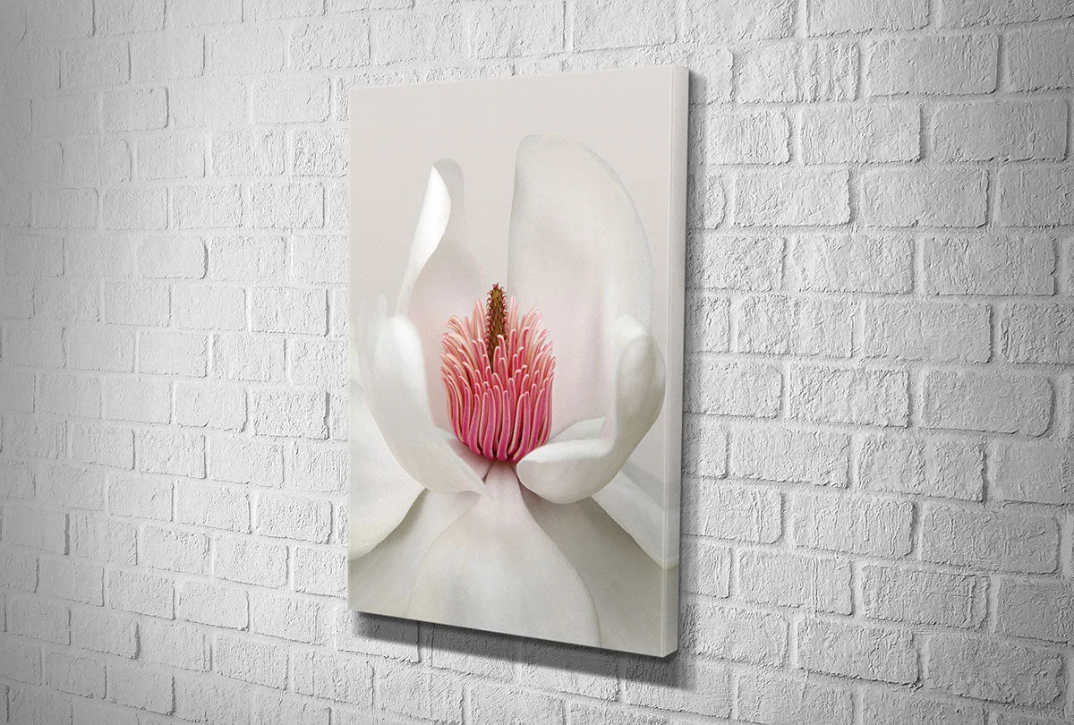 Magnolia Close-Up | Flower Wall Art Print