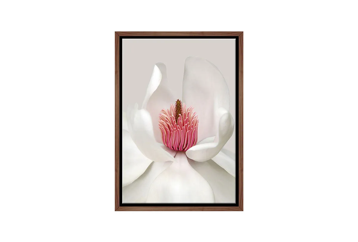 Magnolia Close-Up | Flower Wall Art Print