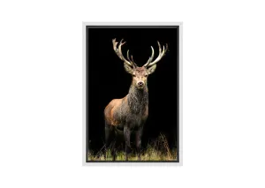 Majestic Deer Stag | Canvas Wall Art Print