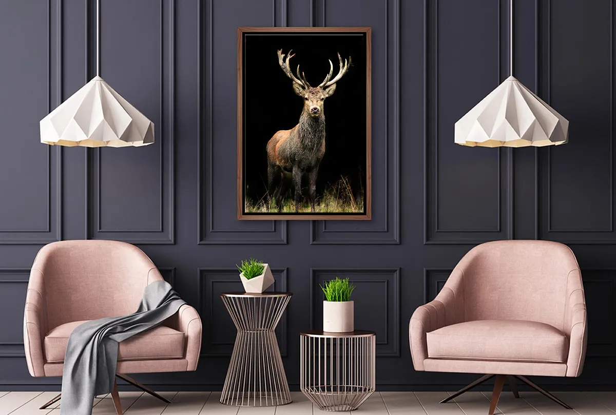 Majestic Deer Stag | Canvas Wall Art Print