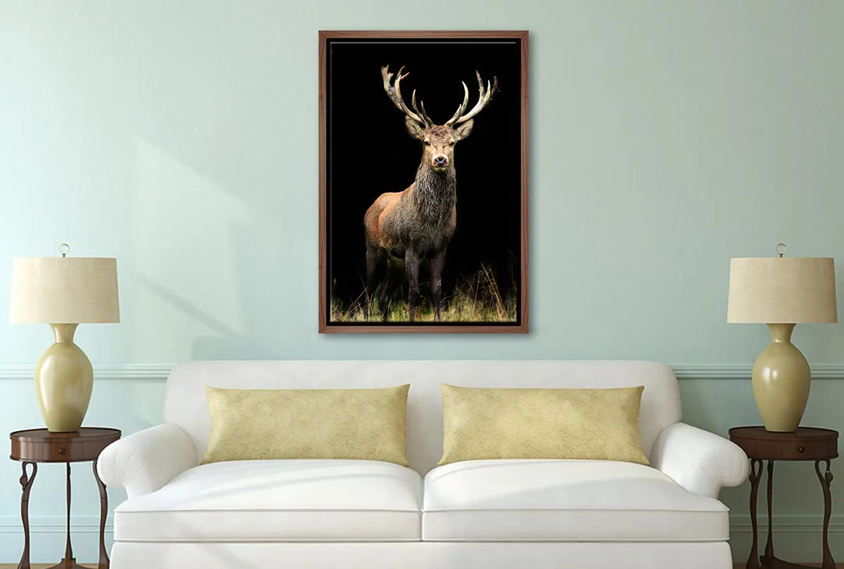 Majestic Deer Stag | Canvas Wall Art Print