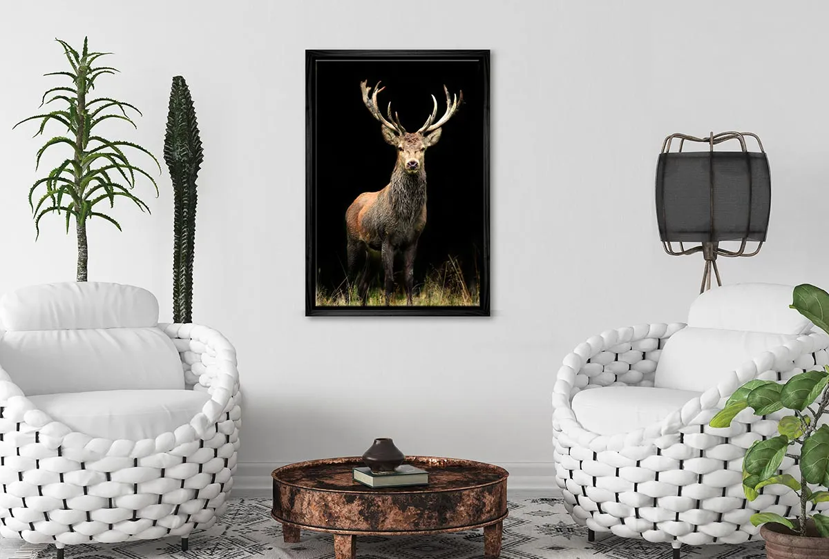 Majestic Deer Stag | Canvas Wall Art Print