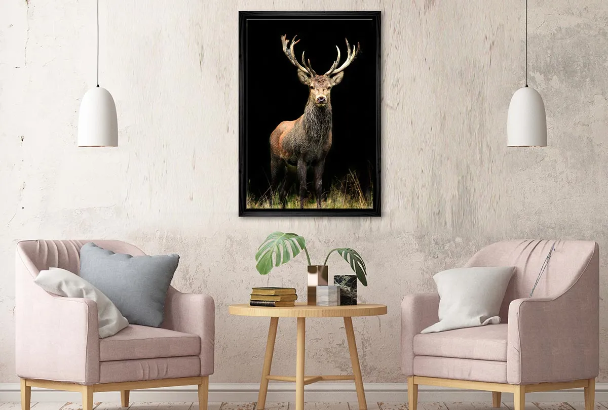 Majestic Deer Stag | Canvas Wall Art Print