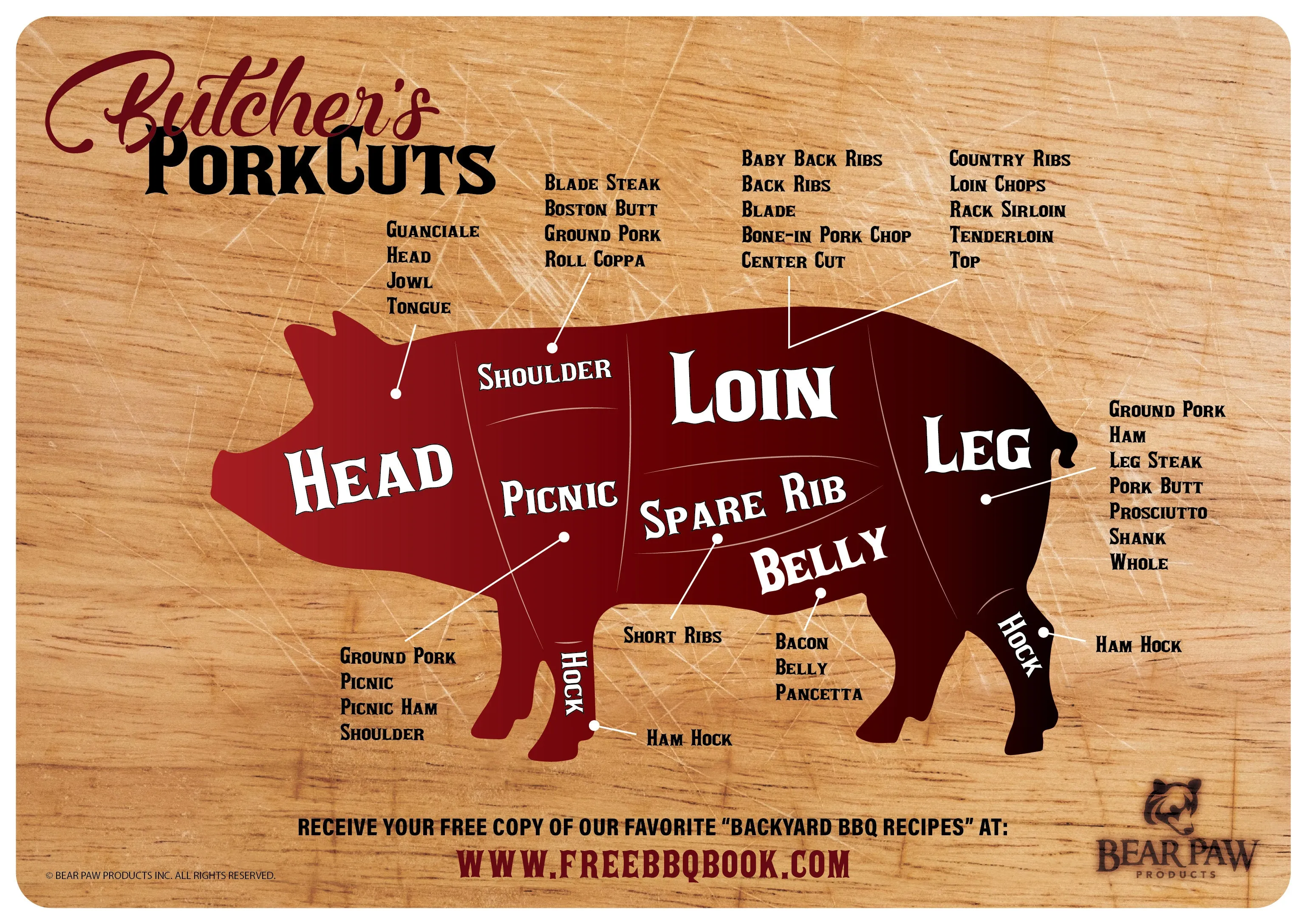 Meat Cut Guide Magnets