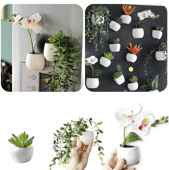 Mini Fridge Magnet Planter