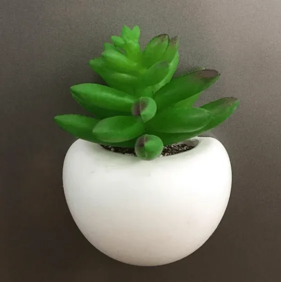 Mini Fridge Magnet Planter