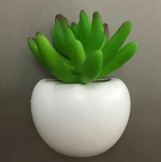 Mini Fridge Magnet Planter