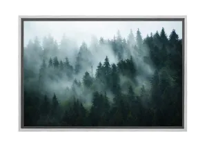 Misty Pine Forest 2 | Canvas Wall Art Print