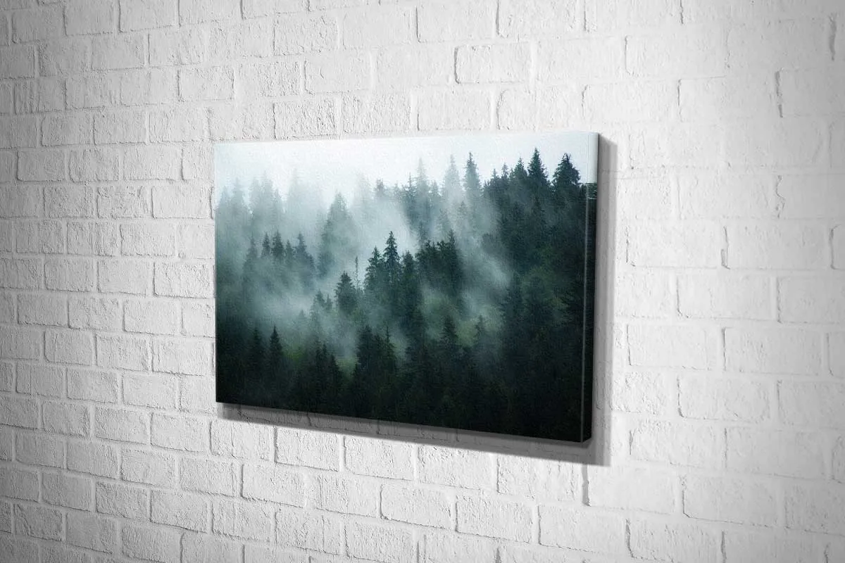 Misty Pine Forest 2 | Canvas Wall Art Print