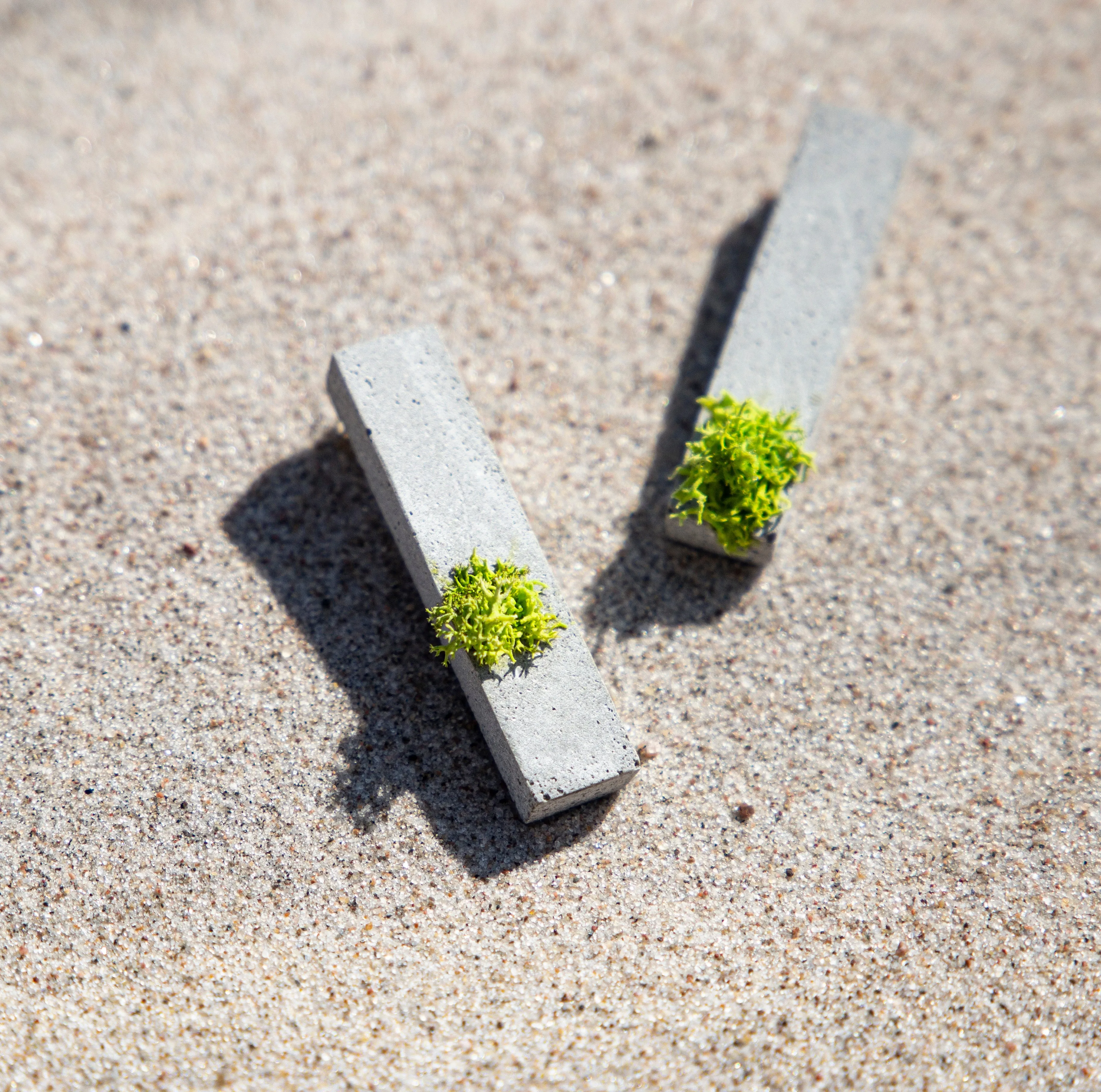 MOSSY BLOCK EARRINGS