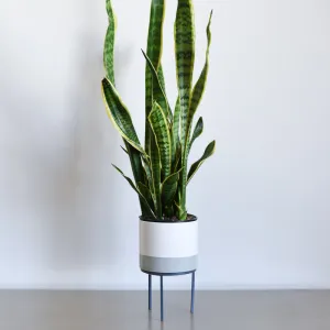 Plant Stand - Gray