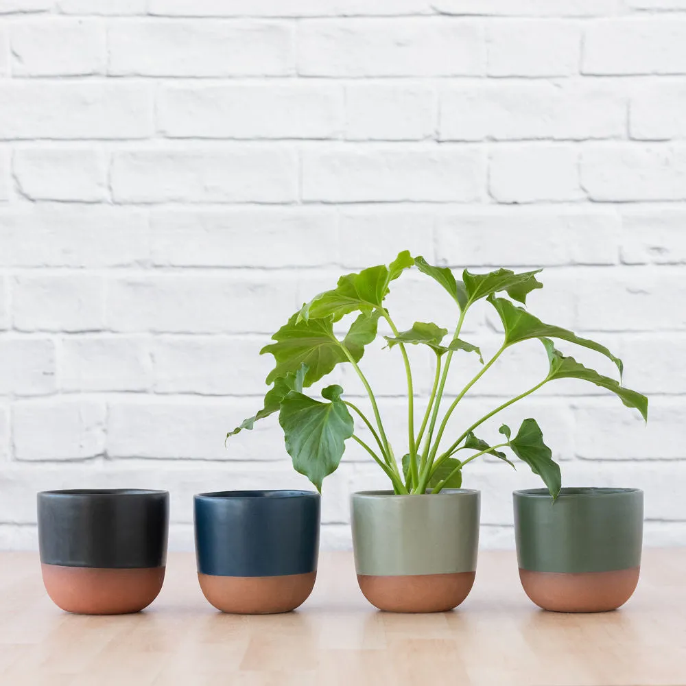 Pluto Planter - Forest Green