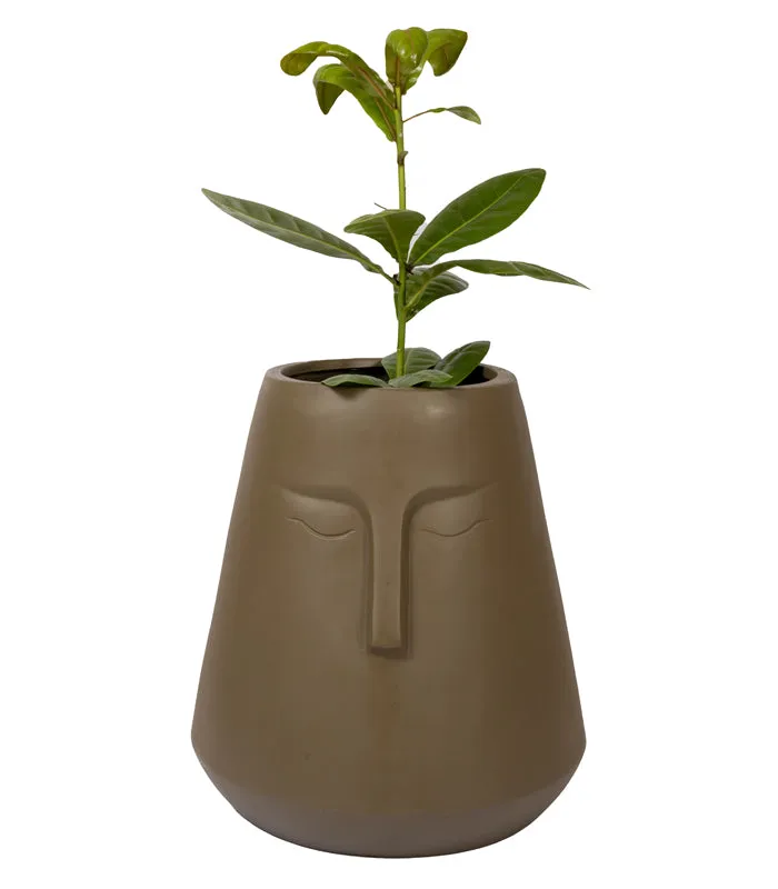 Snooty Planter - Green