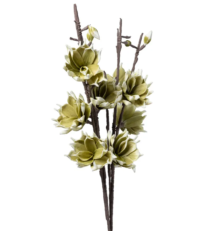 Southern Magnolia Green - Set of 2