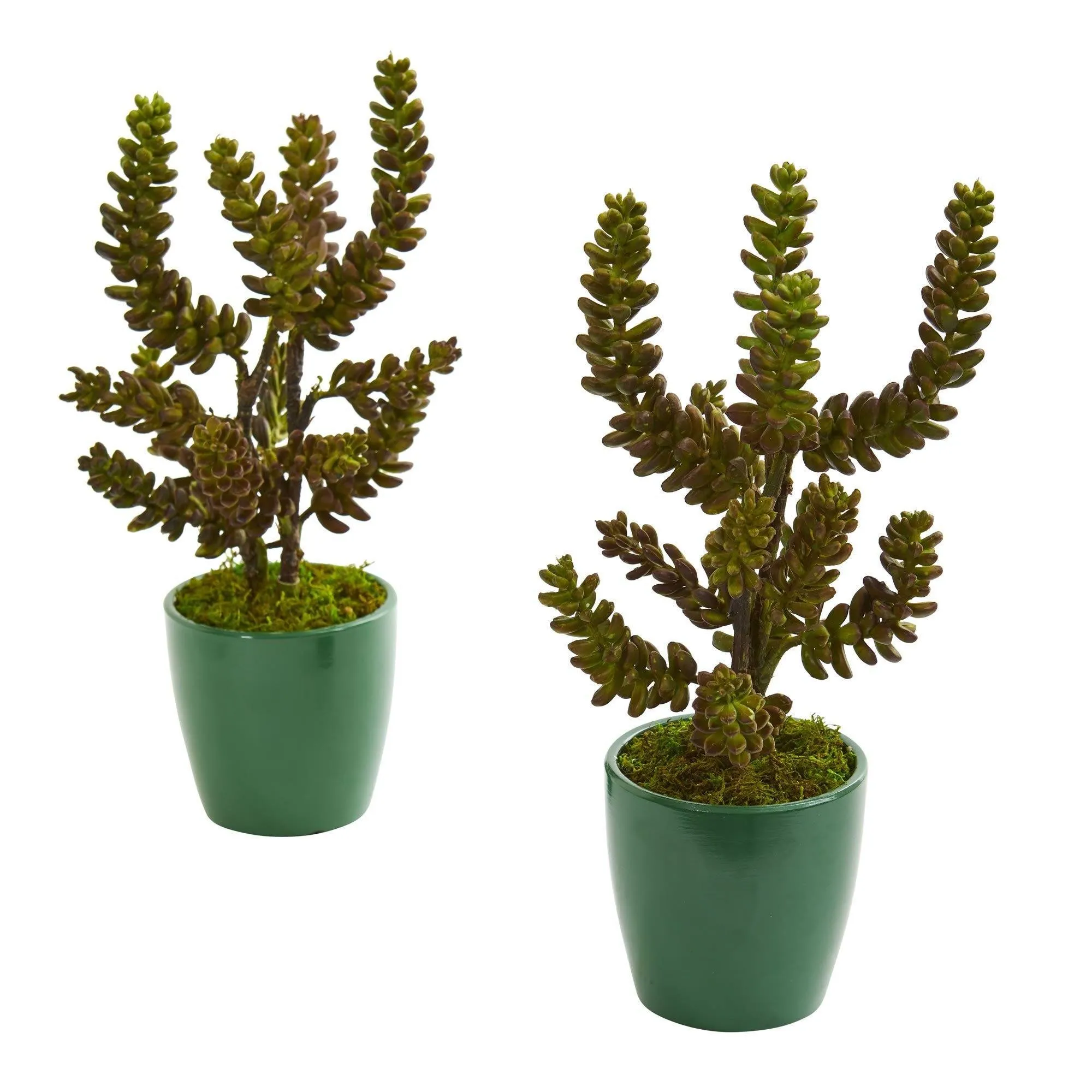 Succulent Artificial Plant in Green Pot (Set of 2)