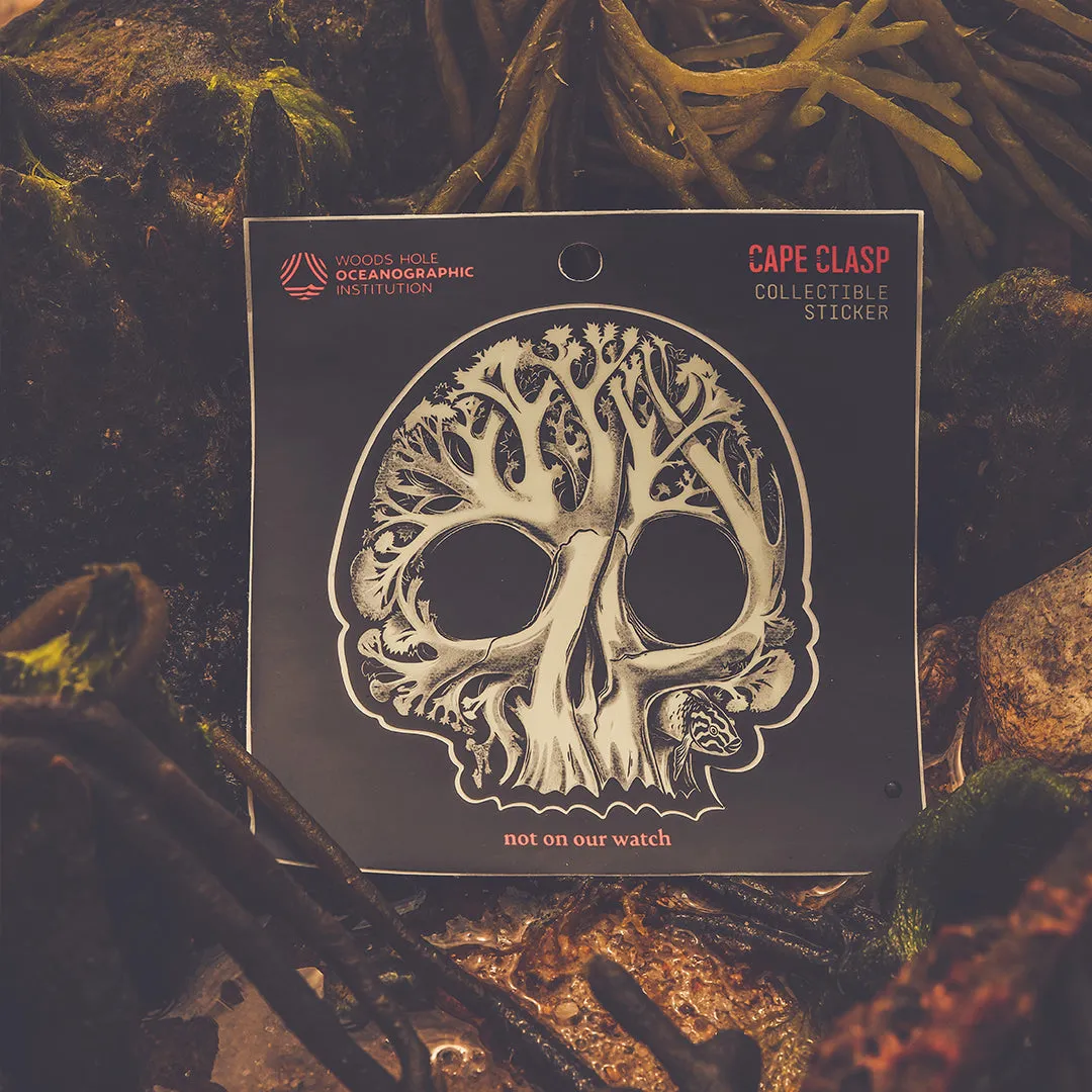 WHOI X CC Coral Skull Sticker